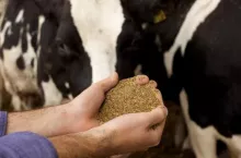459174