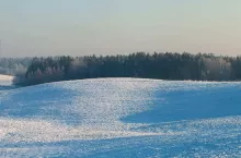 Snowy field in winter.