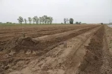198527