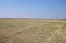 930034