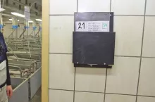 483773