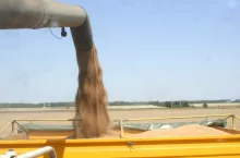 483774