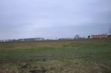 929825