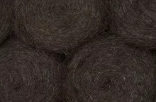 929743