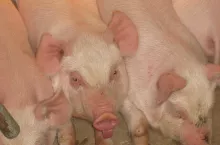 929769