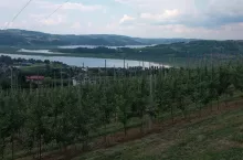895224
