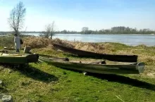 243544