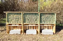  Uczniowie w centrum murarkowym w Jasieńcu