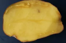 894386