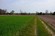 929421