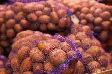 Bunch of fresh new potatoes in supermarket