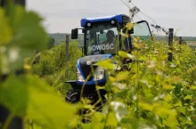 New Holland w winoroślach