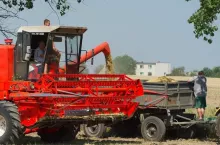 482004