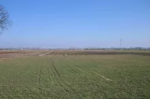 Pole