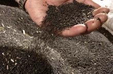 §

fotografie reedvakfoto hans prinsen