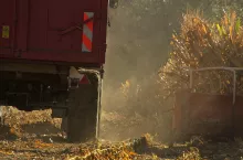 242649