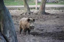 928373