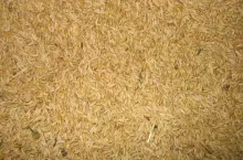 928291