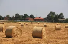 Żniwa 2020 - krajobraz żniwny