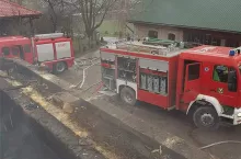 476733