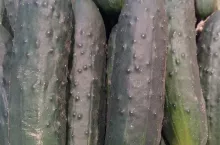 723971