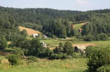 895385