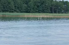 928070