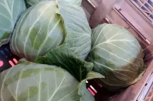 723887