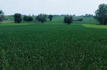 927848
