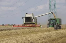 475426
