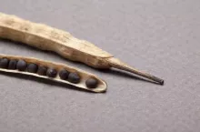 927714