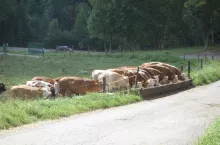 895440