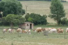 927323