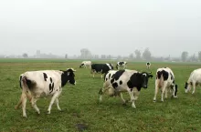 239679