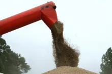 239682