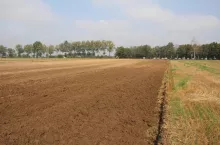 927254
