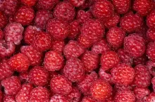 Background of a beautiful fresh raspberry. Healthy food. Vegetarianism.