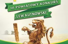 239561