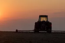 239536