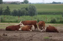 807327