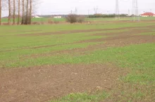473565