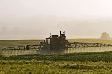 239272