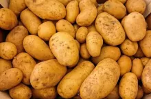 238890