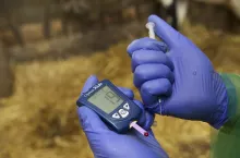 472297