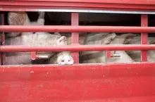 472212