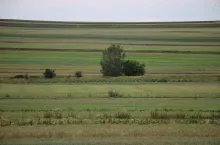 Rozbieżności w powierzchni PEG - konieczna korekta procedur