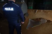 457369