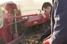 457245