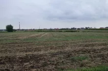 926566