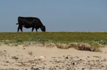 238558